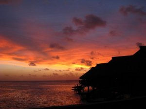 sunset.jpg