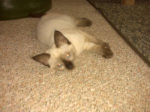 IMG00122.jpg