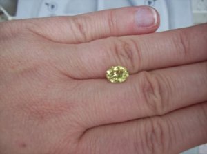 100_07471.jpg