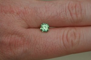 vendor hand shot.jpg vendor hand shot.jpg
