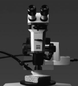 Picture 1.png