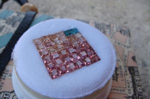 pinks close 4.JPG