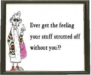 FunMaxine11.jpg