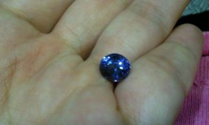 Photo0249.jpg