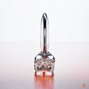 BrianGavin_Fancy4Prong2b.jpg