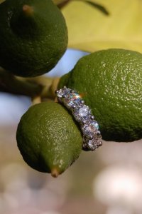 BDGDSC_0844.JPG