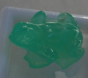 kiz-frog2.jpg
