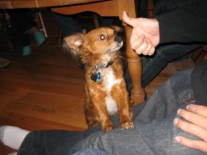 Thumbs up stitch.jpg
