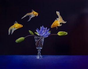 The Golden Fish JPG.jpg