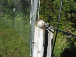 IMG_1827.JPG