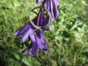 IMG_1824.JPG