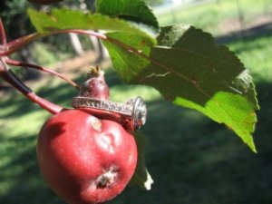 IMG_1829.JPG
