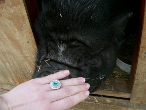 graff ring 037.JPG