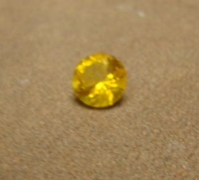 crbobcitr123.JPG