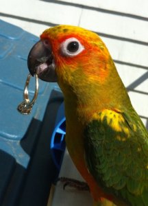 IMG_4754.JPG