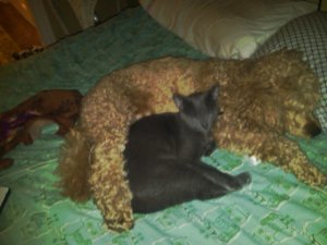 IMG00125-20100901-0014.jpg