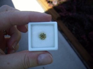100_1211.jpg