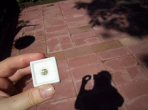 100_1233.jpg