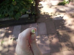 100_1259.jpg