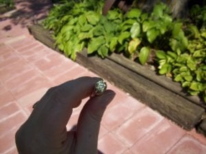 100_1254.jpg