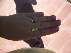 100_1283.jpg