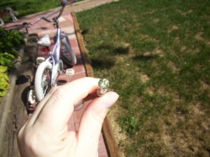 100_1250.jpg
