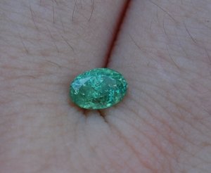 kiz-mcgdemantoid3.jpg kiz-mcgdemantoid3.jpg