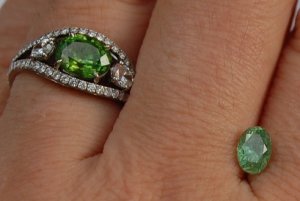 kiz-mcgdemantoid1.jpg kiz-mcgdemantoid1.jpg