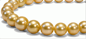 703x324b.gif