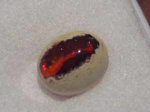 Opal in matrix.JPG