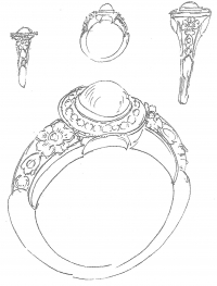 kiwi725sketch.jpg