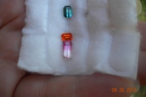 2010-09-26_007.JPG
