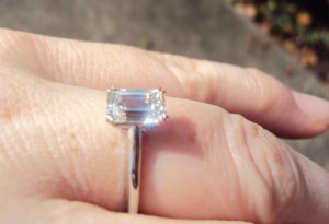 Clean Ring 001.jpg
