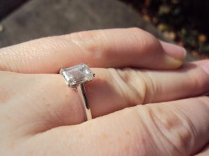 Clean Ring 002.jpg