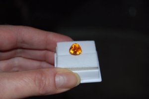 4.40 Spess R2 R 9-30-100001_1.JPG