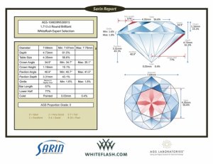sarin_ags-1040399530015.jpg