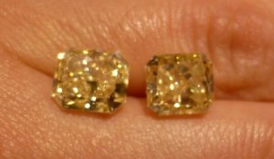 close up 3.jpg