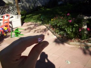 100_1312.jpg
