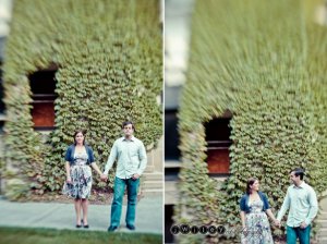 Ivy Wall.jpg