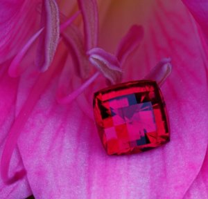 rubFlower1491.jpg