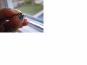IMG_2654.JPG
