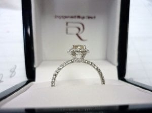 MyRingSideView.jpg