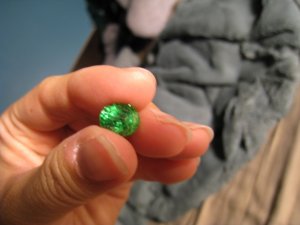 IMG_2673.JPG