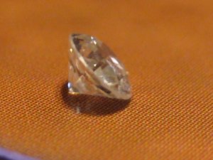 IMG_1237.JPG