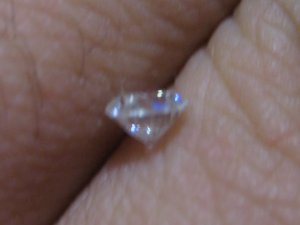 IMG_1288.JPG