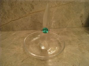 IMG_5708s.jpg