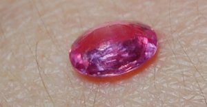 kiz-gfspinel3.jpg