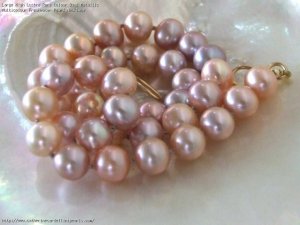 1141 Large High Lustre Rare Colour Oval Metallic Multicolour Freshwater Pearl Necklace-1.jpeg