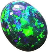 black-opal.jpg