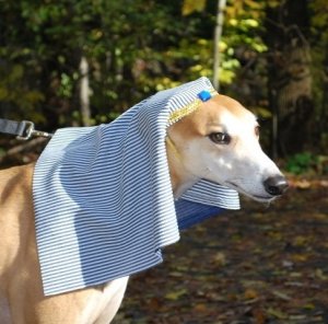 aJasperPharaoh resized 2.jpg